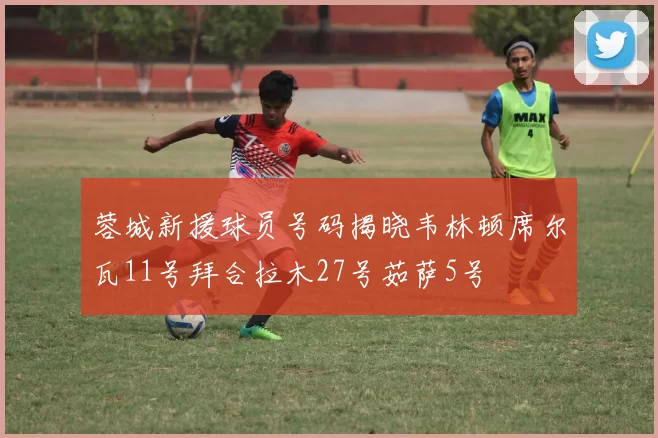 蓉城新援球员号码揭晓韦林顿席尔瓦11号拜合拉木27号茹萨5号