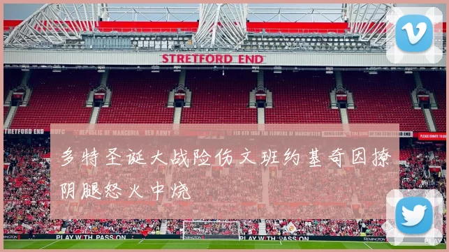 多特圣诞大战险伤文班约基奇因撩阴腿怒火中烧