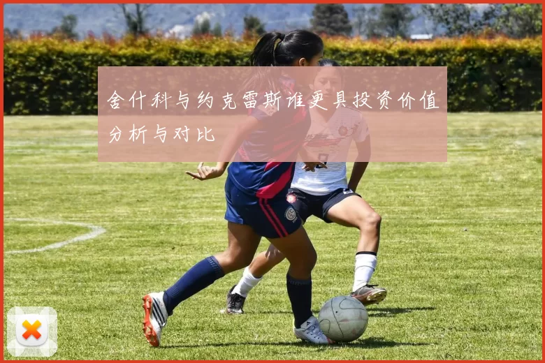 舍什科与约克雷斯谁更具投资价值分析与对比